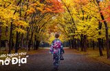 Du Lịch Tokyo Mùa Thu: Đừng Lỡ Hẹn Với 17 Địa Điểm Siêu HOT