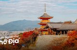 19 Địa Điểm Du Lịch Osaka Mùa Thu Siêu Lãng Mạn