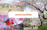 สถานที่ชมดอกซากุระในญี่ปุ่นประจำปี 2025 🌸