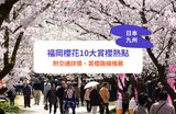 福岡櫻花2026｜10大賞櫻熱點 附交通詳情、賞櫻路線推薦