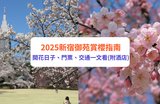 新宿御苑櫻花｜開花滿開預測公開！門票/交通/美食/購物/酒店一文看