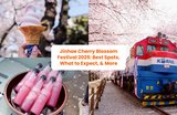 Jinhae Cherry Blossom Festival 2025: Best Spots, How to Get There, What to Expect, and More