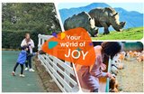 2026【九州自然動物園】親子自由行推薦景點，搭叢林巴士近距離互動！