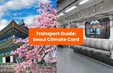 Seoul Climate Card Guide: How to Save on Public Transport in 2025