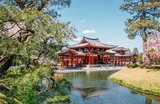 Best Cultural Experiences in Kyoto: Temples, Tea & Gion