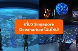 เที่ยว Singapore Oceanarium โฉมใหม่ พร้อมไฮไลท์ที่ห้ามพลาด!