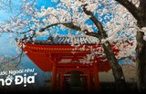Kinh Nghiệm Điền Visit Japan Web Cho Người Đi Nhật Lần Đầu