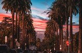 Free Things to Do in Los Angeles (Yes, They Exist!)