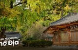 Tất Tần Tật Kinh Nghiệm Du Lịch Hàn Quốc Tự Túc Mới Nhất