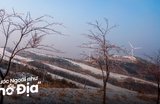 Cẩm Nang Du Lịch Gangwon-do: Vùng Đất Phiêu Lưu Của Hàn Quốc