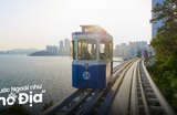  Lịch Trình Seoul - Busan 6 Ngày 5 Đêm Sống Ảo "Cháy Máy"