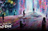Hướng Dẫn Đi Bảo Tàng Kỹ Thuật Số teamLab Borderless Ở Tokyo