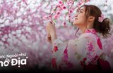 12 Địa Điểm Du Lịch Nhật Bản Mùa Xuân Đẹp Lung Linh