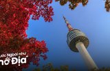 20 Địa Điểm Du Lịch Seoul Đẹp Và Dễ Đi Cho Người Lần Đầu