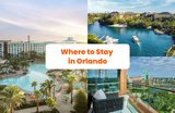Where to Stay in Orlando for Families, Couples, & More