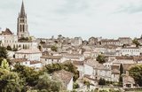 5 Best Bordeaux Wine Day Tours for an Unforgettable Tasting Experience 