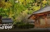 Kinh Nghiệm Tham Quan Jeonju - Cái Nôi Văn Hóa Hàn Quốc
