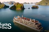 15 Du Thuyền Hạ Long Sang Trọng Cho Bạn Kỳ Nghỉ Trọn Vẹn