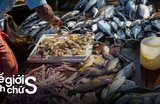 10 Chợ Hải Sản Ở Vũng Tàu Nổi Tiếng Nhất Cho Team Tự Túc