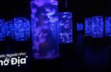 Kinh Nghiệm Tham Quan Thủy Cung Manila Ocean Park Tự Túc 