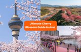 Ultimate Cherry Blossom Viewing Guide in Asia (Japan, Korea, China & Taiwan)