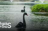 Kinh Nghiệm Đi Hồ Thiền Quang - Góc Bình Yên Tại Hà Nội