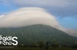 Kinh Nghiệm Trekking Núi Chứa Chan Cho Team Yêu Thiên Nhiên