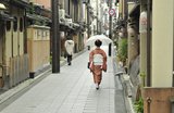 5 Things to Do in Kyoto This Spring (Away from the Crowds)