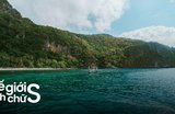 Review Đảo Yến Nha Trang - Chạm Tay Vào Kỳ Quan Bãi Tắm Đôi