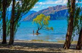 6 Most Instagrammable Places in New Zealand to See