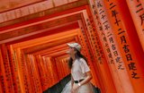 How Much Does It Cost to Travel to Japan?