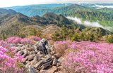 9 Most Beautiful Places in South Korea You Must Visit