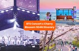 BTS Concert + Cherry Blossoms in Korea: The Perfect 5D4N Travel Plan					