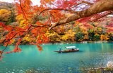 Your Complete Guide to Autumn in Japan: Best Sights & More!