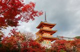 Kyoto Sehenswürdigkeiten – Attraktionen, Tempel & Märkte