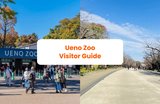 Planning a Visit to Ueno Zoo? Read This First