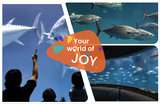 葛西臨海水族園完全攻略:門票、交通及必看焦點整理