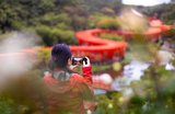Things To See in Kyoto: 7 Spots You Can't Miss