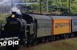 Đi Tàu Hơi Nước Oigawa Khám Phá Vùng Cao Shizuoka