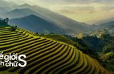 Du Lịch Sapa Mùa Nước Đổ: Vẻ Đẹp Ruộng Bậc Thang