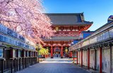 7 Day Tokyo Itinerary 2026: Day Trips & Top Highlights