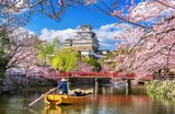 Osaka Castle Guided Tours 2026: Tickets, Prices & How to Book
