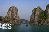 Hành Trình Tâm Linh Hạ Long - Yên Tử: Kinh Nghiệm Chi Tiết