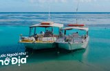 Lặn Biển Great Barrier Reef: Cẩm Nang Chi Tiết Từ A-Z 
