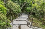 Kyoto Hiking: 9 Best Trails With Times, Access & Tips