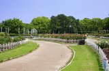 8 Best Nature Spots in Nagoya for Parks, Gardens & Day Trips