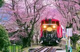 Romantic Things to Do in Kyoto: Date Ideas for Couples