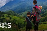 Sapa Tháng 11 Và Tháng 12 Có Gì Đặc Biệt Cho Gia Đình?