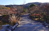 9 Best Kyoto Nature Spots: Gardens, Rivers, Bamboo & Forests