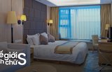 Điểm Danh 15 Khách Sạn Ở Phan Thiết Gần Biển, Giá Tốt Nhất